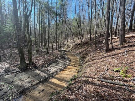 Property for sale in Wilcox County, Alabama