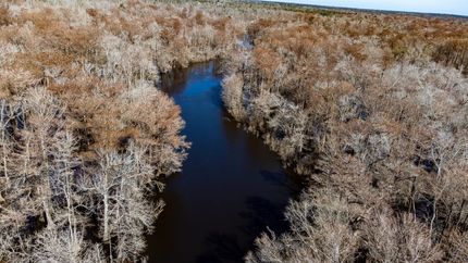 Riverfront Property for sale in Calhoun County, Florida