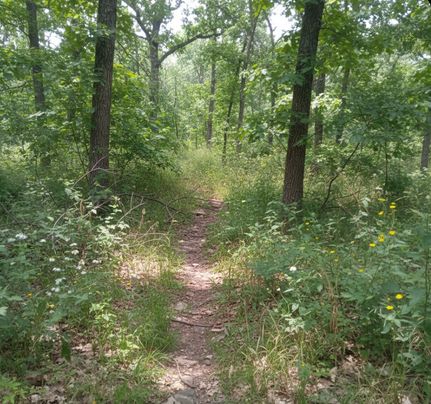 Property for sale in Cleveland County, Oklahoma