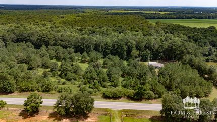 Hunting Land for sale in Coffee County, Alabama