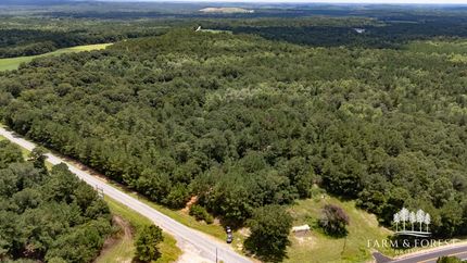 Hunting Land for sale in Coffee County, Alabama