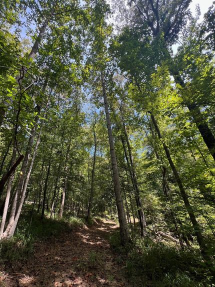 Property for sale in Hale County, Alabama