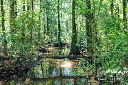 Timberland Property for sale in Holmes County, Florida
