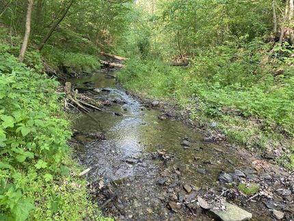 Timberland Property for sale in Washington County, Pennsylvania