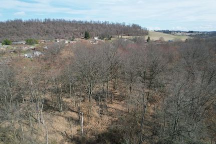 Undeveloped Land for sale in Fayette County, Pennsylvania