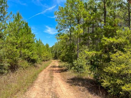 Property for sale in Walker County, Texas