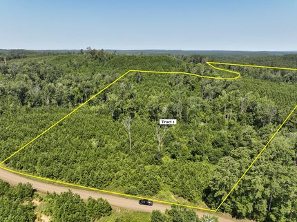 Hunting Land for sale in Sabine County, Texas