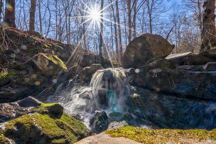 Timberland Property for sale in Oglethorpe County, Georgia