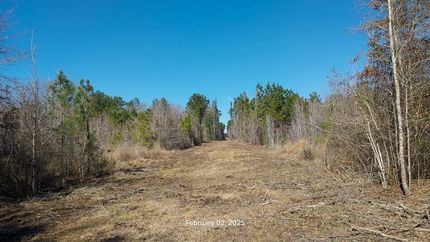 Timberland Property for sale in Angelina County, Texas