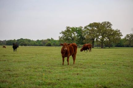 Property for sale in Milam County, Texas