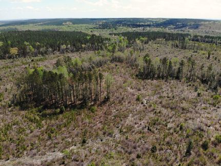 Property for sale in Barbour County, Alabama