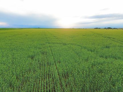 Ranch Property for sale in Harper County, Kansas