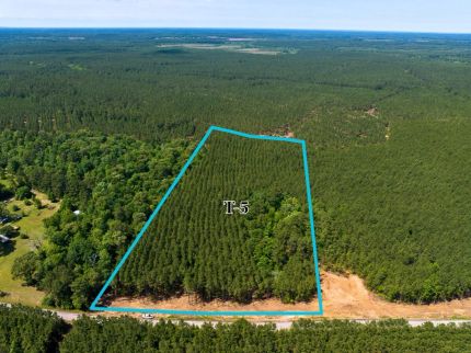 Property for sale in Polk County, Texas