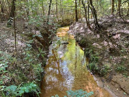 Hunting Land for sale in Sabine County, Texas