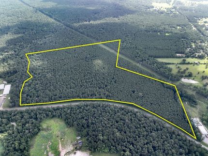 Hunting Land for sale in Walker County, Texas
