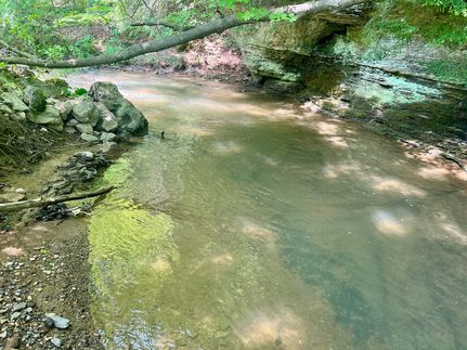 Timberland Property for sale in Beaver County, Pennsylvania