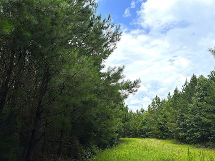 Hunting Land for sale in Tallapoosa County, Alabama