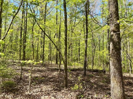 Property for sale in Elmore County, Alabama