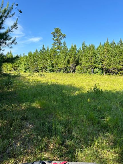 Recreational Property for sale in Conecuh County, Alabama