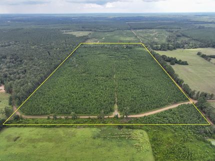 Hunting Land for sale in Sabine Parish, Louisiana