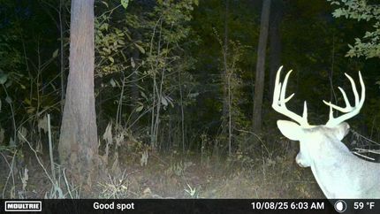 Farm Property for sale in Pulaski County, Illinois