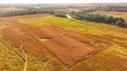 Hunting Land for sale in Marion County, Iowa