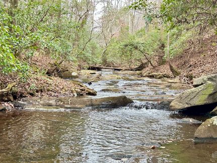 Hunting Land for sale in Randolph County, Alabama