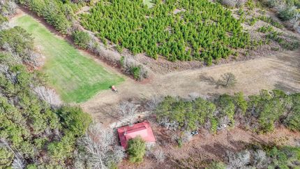 Hunting Land for sale in Dallas County, Alabama