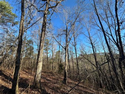 Property for sale in Hale County, Alabama