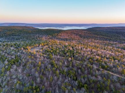 Undeveloped Land for sale in Pushmataha County, Oklahoma