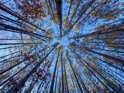 Residential Property for sale in Tallapoosa County, Alabama