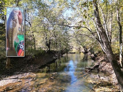 Property for sale in Gallia County, Ohio