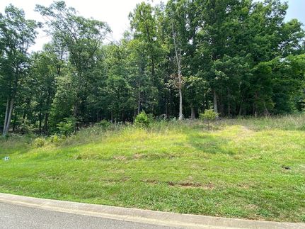 Undeveloped Land for sale in Franklin County, Virginia