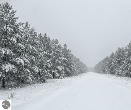 Property for sale in Wexford County, Michigan