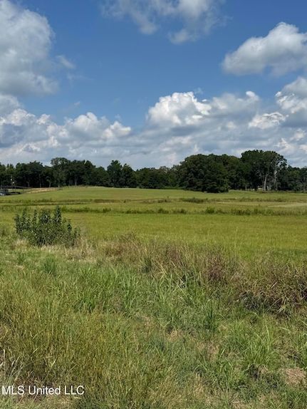 Undeveloped Land for sale in Yazoo County, Mississippi