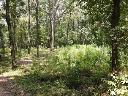 Property for sale in Avoyelles Parish, Louisiana