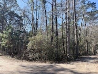 Undeveloped Land for sale in Liberty County, Georgia