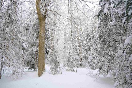 Property for sale in Caledonia County, Vermont