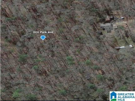 Property for sale in Saint Clair County, Alabama