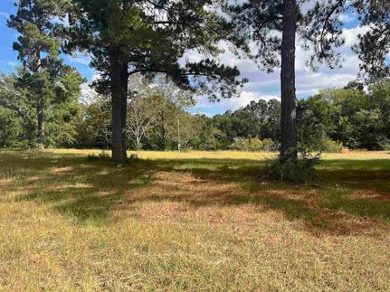 Property for sale in Covington County, Alabama
