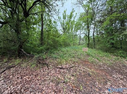 Property for sale in Lawrence County, Alabama