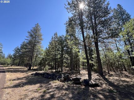 Undeveloped Land for sale in Klickitat County, Washington