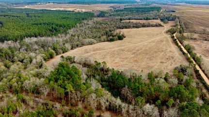 Hunting Land for sale in Telfair County, Georgia