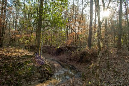 Timberland Property for sale in Polk County, Texas