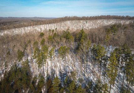 Property for sale in Reynolds County, Missouri