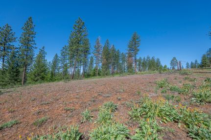 Property for sale in Adams County, Idaho