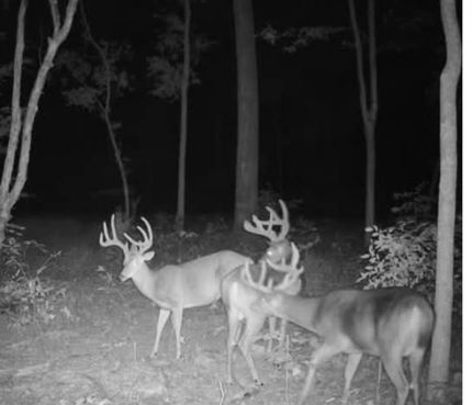 Residential Property for sale in Hardin County, Illinois