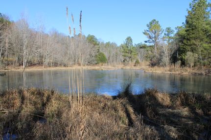 Property for sale in Tuscaloosa County, Alabama
