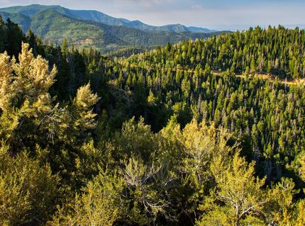 Hunting Land for sale in Carbon County, Utah