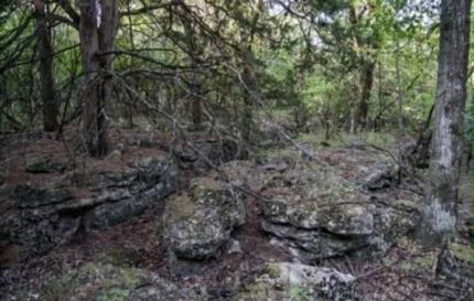Timberland Property for sale in Wilson County, Kansas